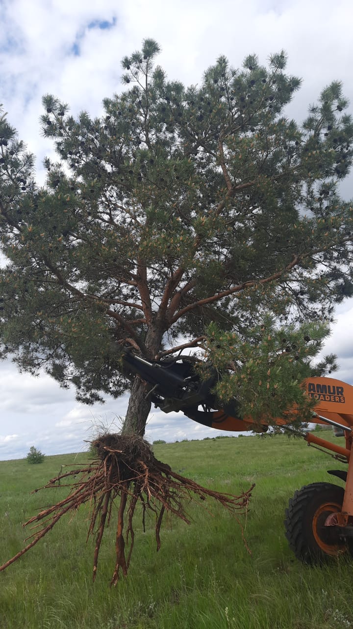 Выкорчёвыватель деревьев для тракторов и погрузчиков фронтальных и телескопических