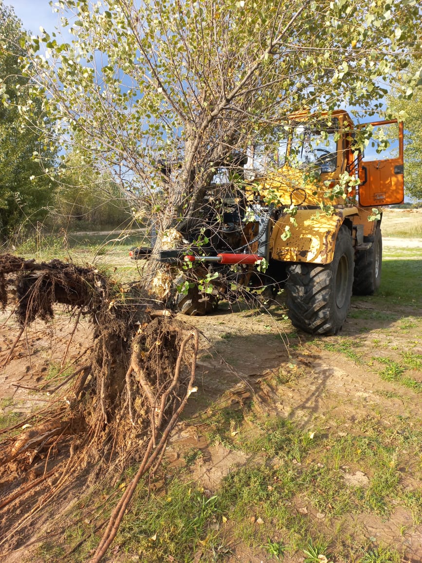 Выкорчёвыватель деревьев для тракторов и погрузчиков фронтальных и телескопических
