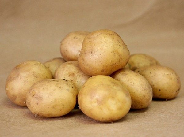 Картофель в Волгограде Гала