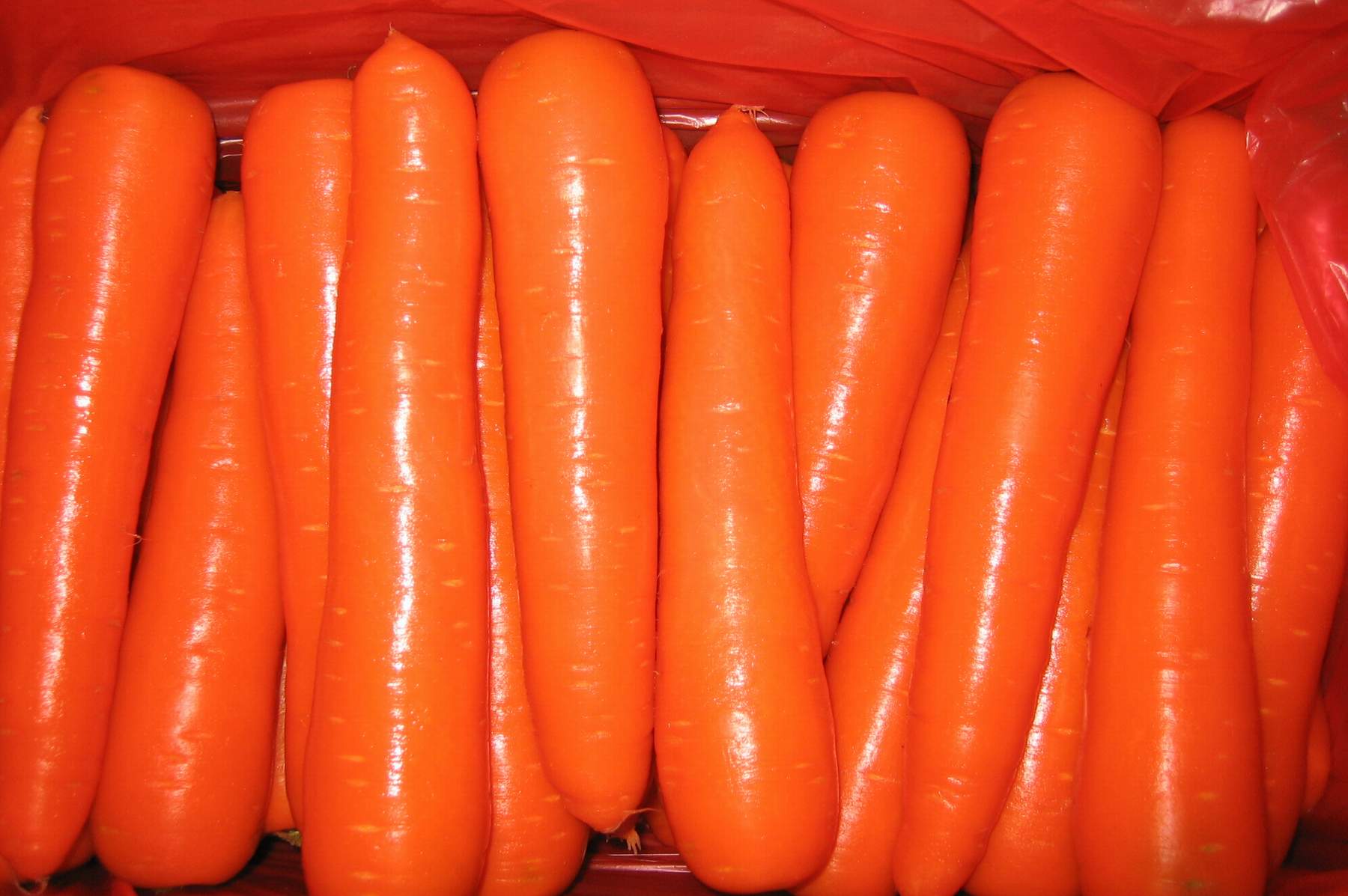 Мытая недорогая морковь 1-го или 2-го сорта. Оптом