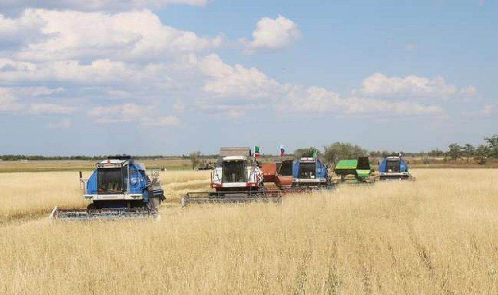 Продажа сельхозпредприятий до 30 000 га в Краснодарском крае