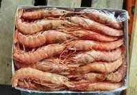 Морские аргентинские креветки оптом. Прямой импорт, на складе