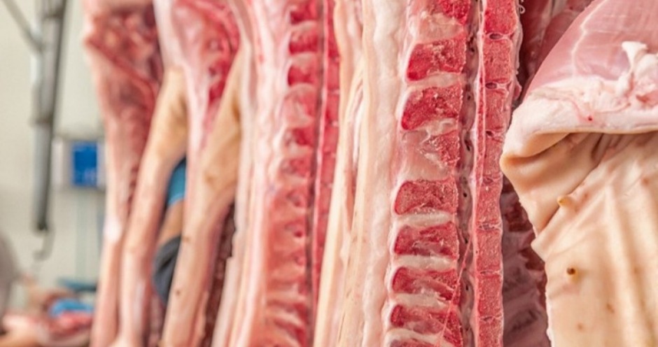 Мясо свинина на экспорт/Pork meat for export